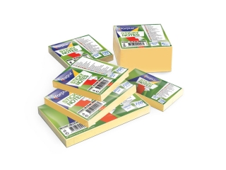 Notes samoprzylepny 51x76 mm 100 kartek �ӣTY PAS-0879