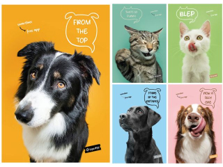 Zeszyt A4 Pets, 40k, kratka, Mar Mar [opakowanie=10szt]