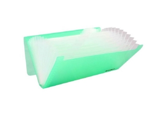 Akt�wka z 12-ma przegr�dkami PENMATE pp-4303 zielona