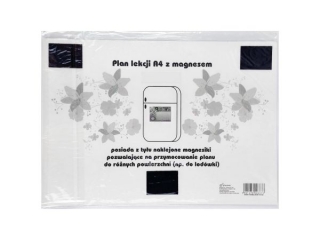 PLAN LEKCJI Z MAGNESEM Wr�ki  [opakowanie=12szt]