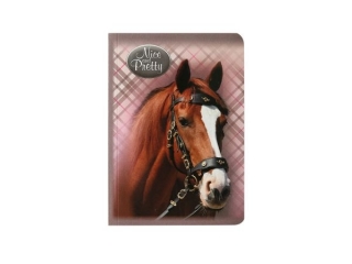 Brulion mi�kka oprawa A5 96k. BENIAMIN Nice and Pretty kratk