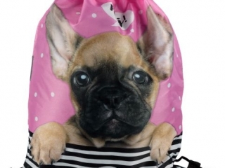Worek na gimnastyk� BENIAMIN The Sweet Pets - Pies