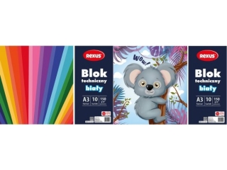 BLOK TECHNICZNY BIA�Y A3/10k.