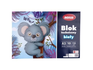 BLOK TECHNICZNY BIA�Y A3/10k.