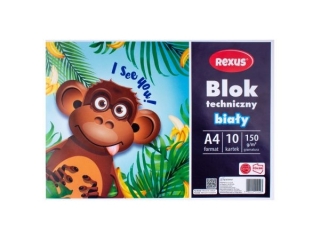 BLOK TECHNICZNY BIA�Y A4/10k.