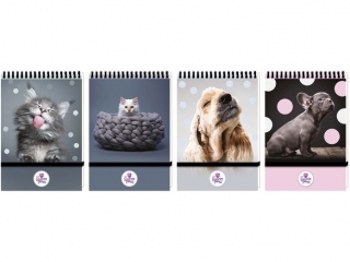 KO�ONOTES A6/96k. Kratka ZAMYKANY NA GUMK� / THE SWEET PETS