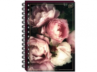 Album na zdj�cia INTERDRUK B5 25k. Roses