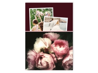 Album na zdj�cia INTERDRUK B5 25k. Roses