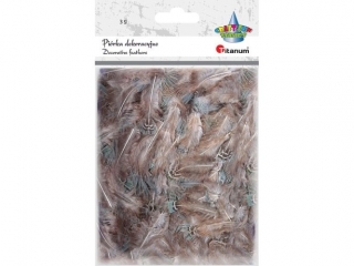 Pi�rka 3g Br�z A19ht018