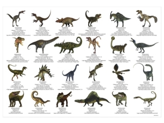 PODK�AD OKLEJANY EDUKACYJNY DINOZAURY