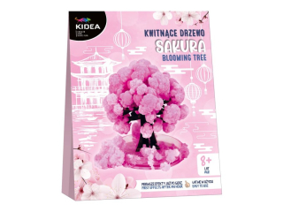 KWITN�CE DRZEWO SAKURA KIDEA