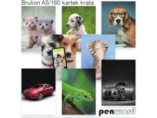 BRULION A5/160 # [opakowanie=6szt] (SZPSH)