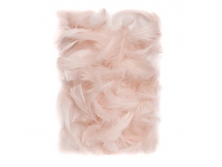 Pi�rka DPCRAFT 5-12cm 10g nude