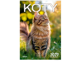 Kalendarz 2027 �cienny A4 Koty #3629
