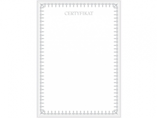 Dyplomy BENIAMIN okoliczno�ciowe A4 20szt. - Certyfikat I