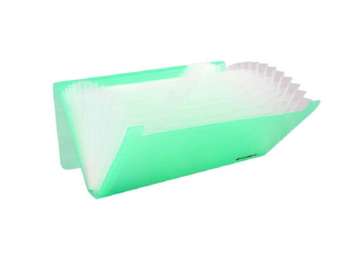 Akt�wka z 12-ma przegr�dkami PENMATE pp-4303 zielona HURT