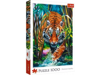 Puzzle 1000 TREFL Drapie�ny tygrys
